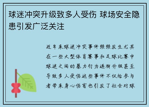 球迷冲突升级致多人受伤 球场安全隐患引发广泛关注